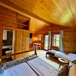 Chalet Les Mazots Du Hameau Des Biquettes - Charme Alpin Et Cuisine équipée