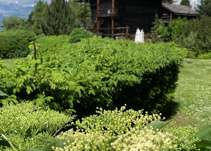 شاليه Les Mazots Du Hameau - Charme Alpin Avec Cuisine Equipee فيركورين